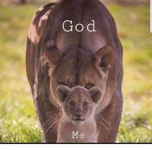 Meet your Posher, Vivian